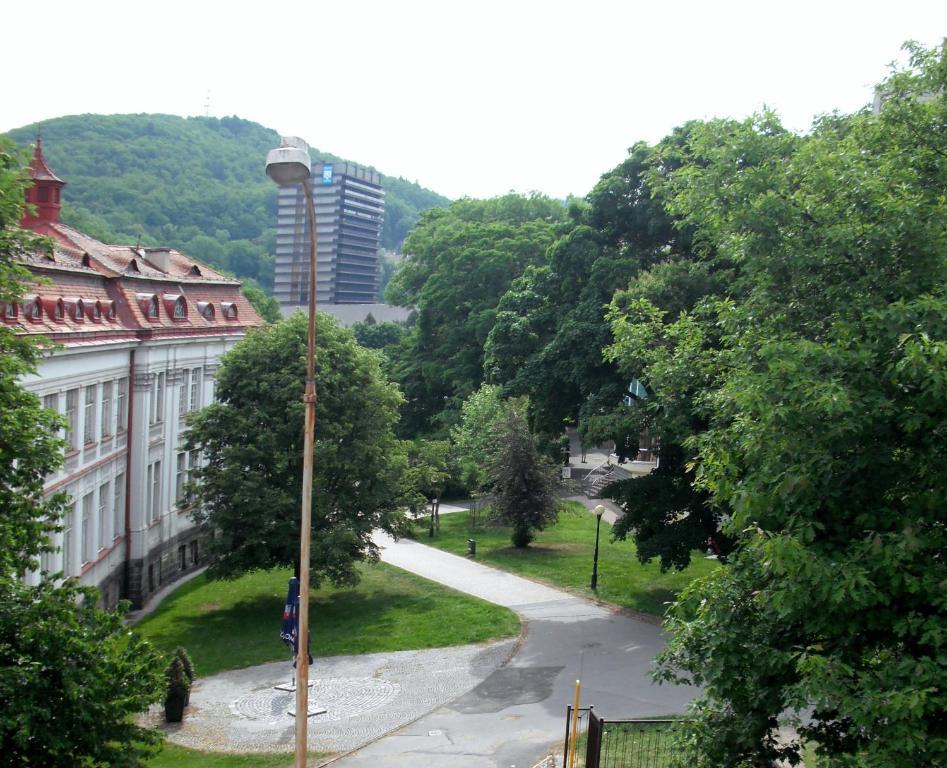 Apartmany Galeta Karlsbad Rum bild